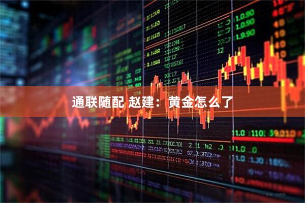通联随配 赵建：黄金怎么了