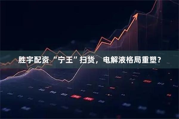 胜宇配资 “宁王”扫货，电解液格局重塑？