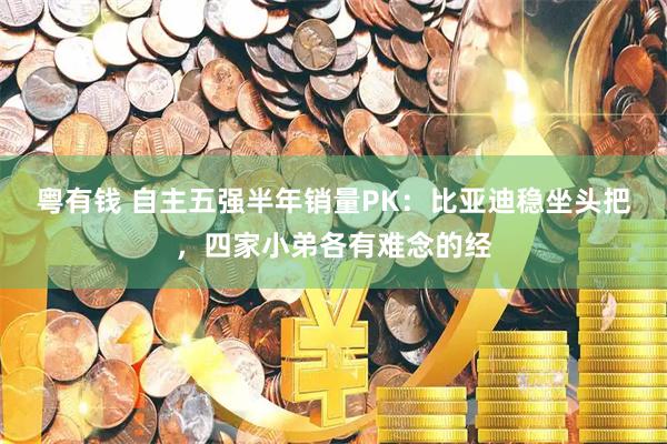 粤有钱 自主五强半年销量PK:比亚迪稳坐头把,四家小弟各有难念的经
